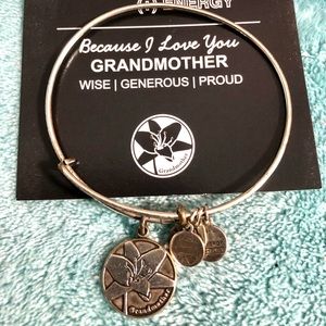 Alex and Ani Silver Because I Love You Grandmother Bangle Bracelet